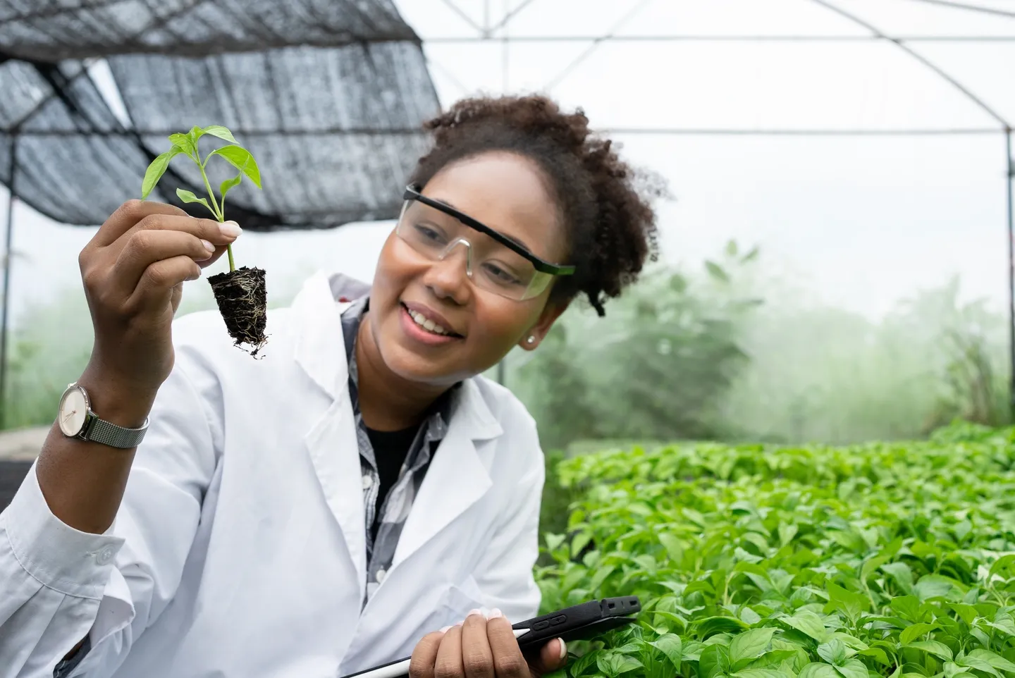 A woman holding a plant and using a cell phone.